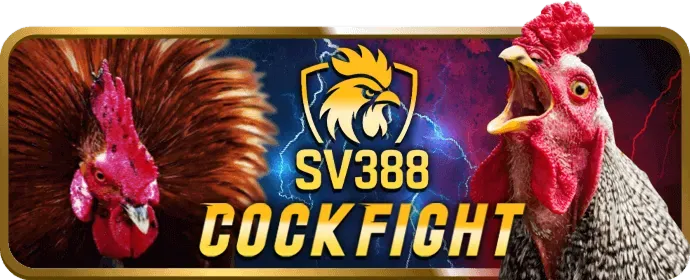 Dịch vụ chăm sóc khách hàng riêng